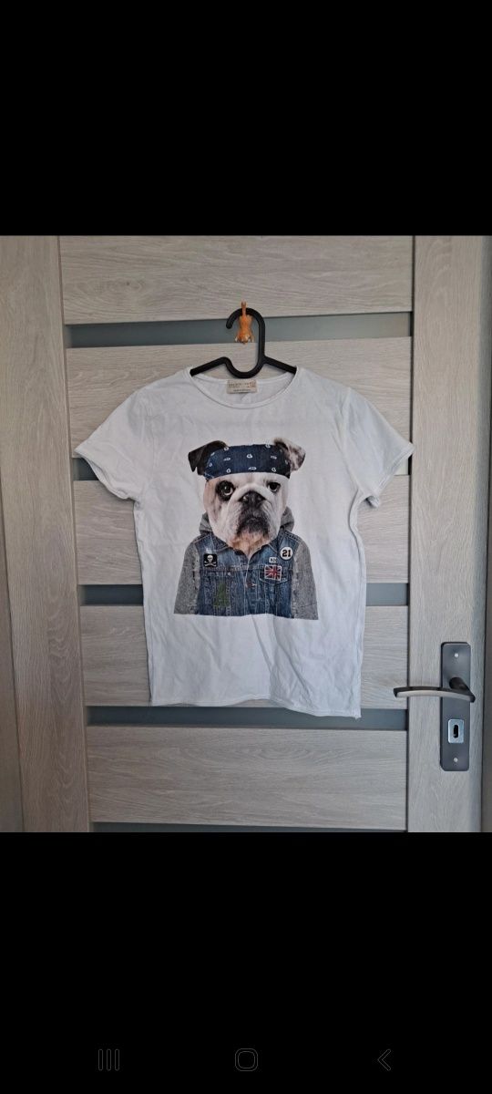 Koszulka T-shirt dziecięcy Zara Boys