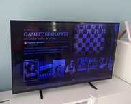 Telewizor Panasonic Viera TX-49ES400E 49 cali