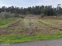 Terreno  para venda
