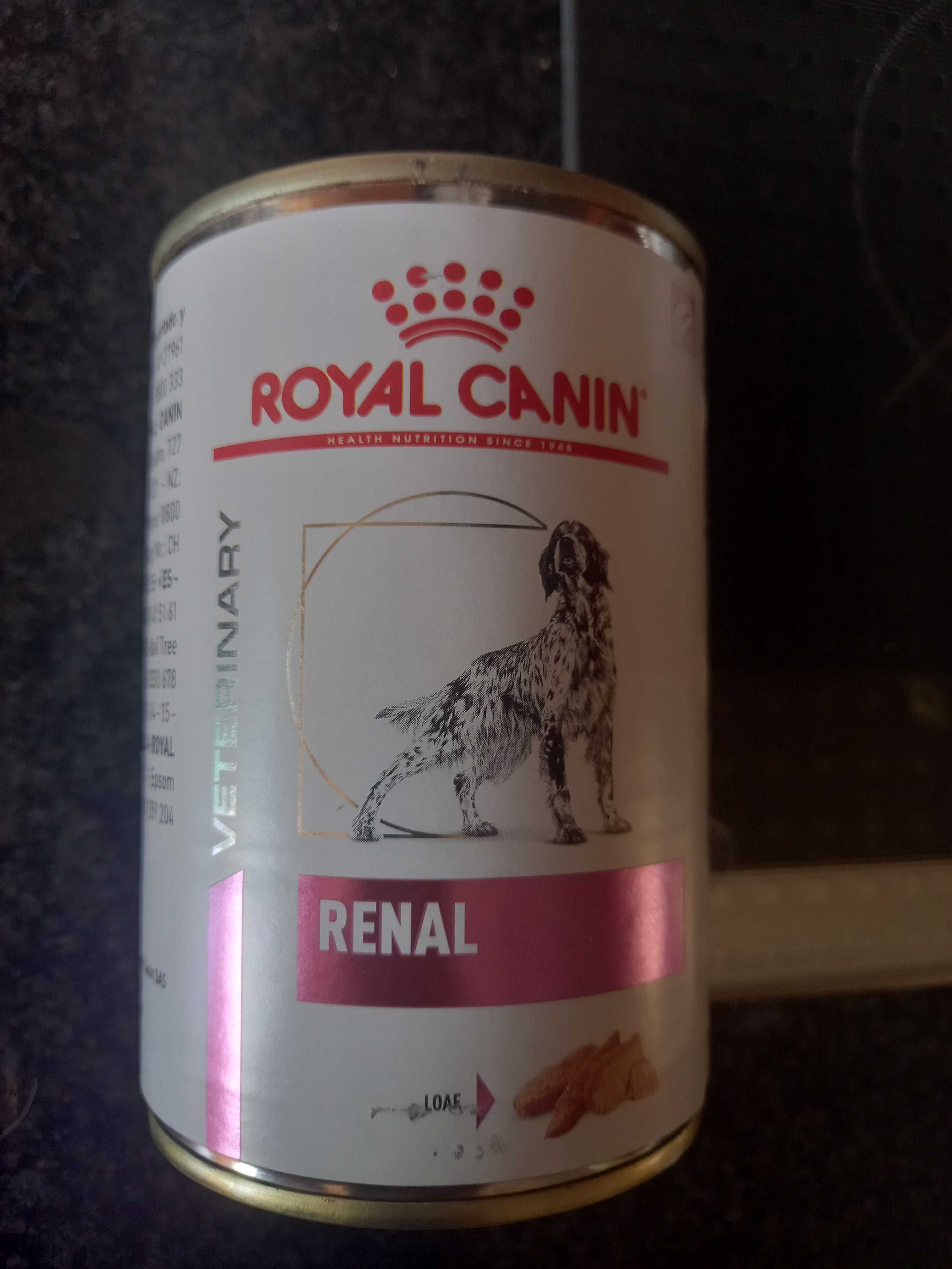 Ração humida, em lata, para cão