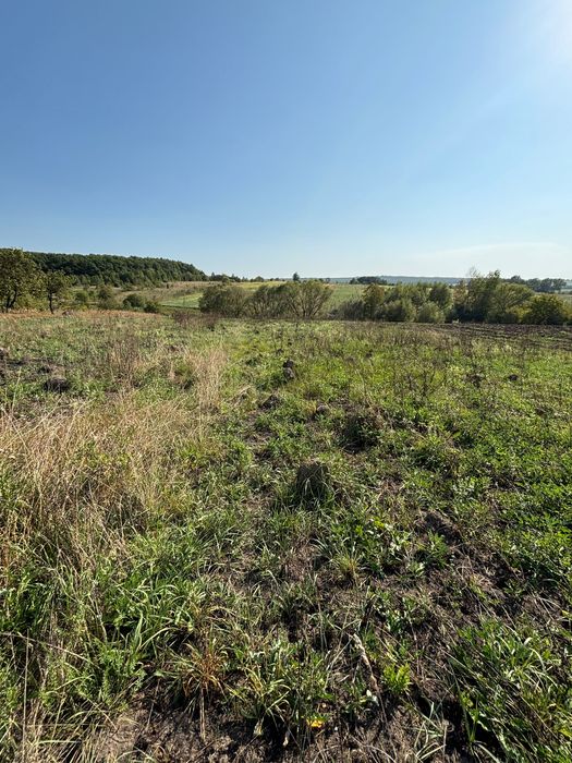 Земельна ділянка в селі Милування_МА