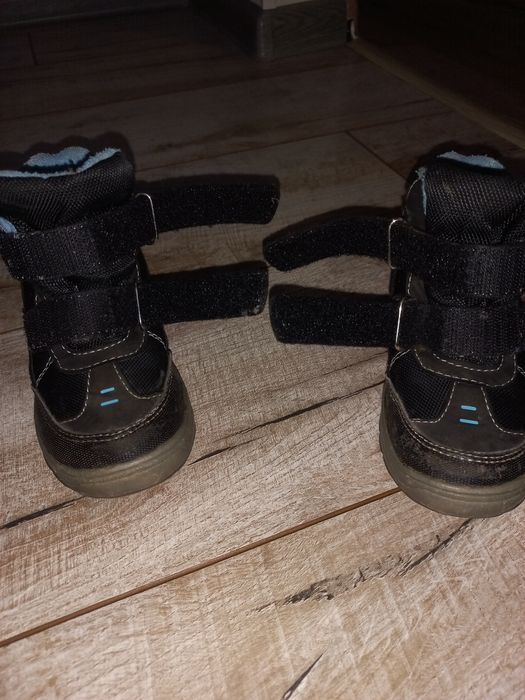 Ботаніки дитячі, демі, б/в