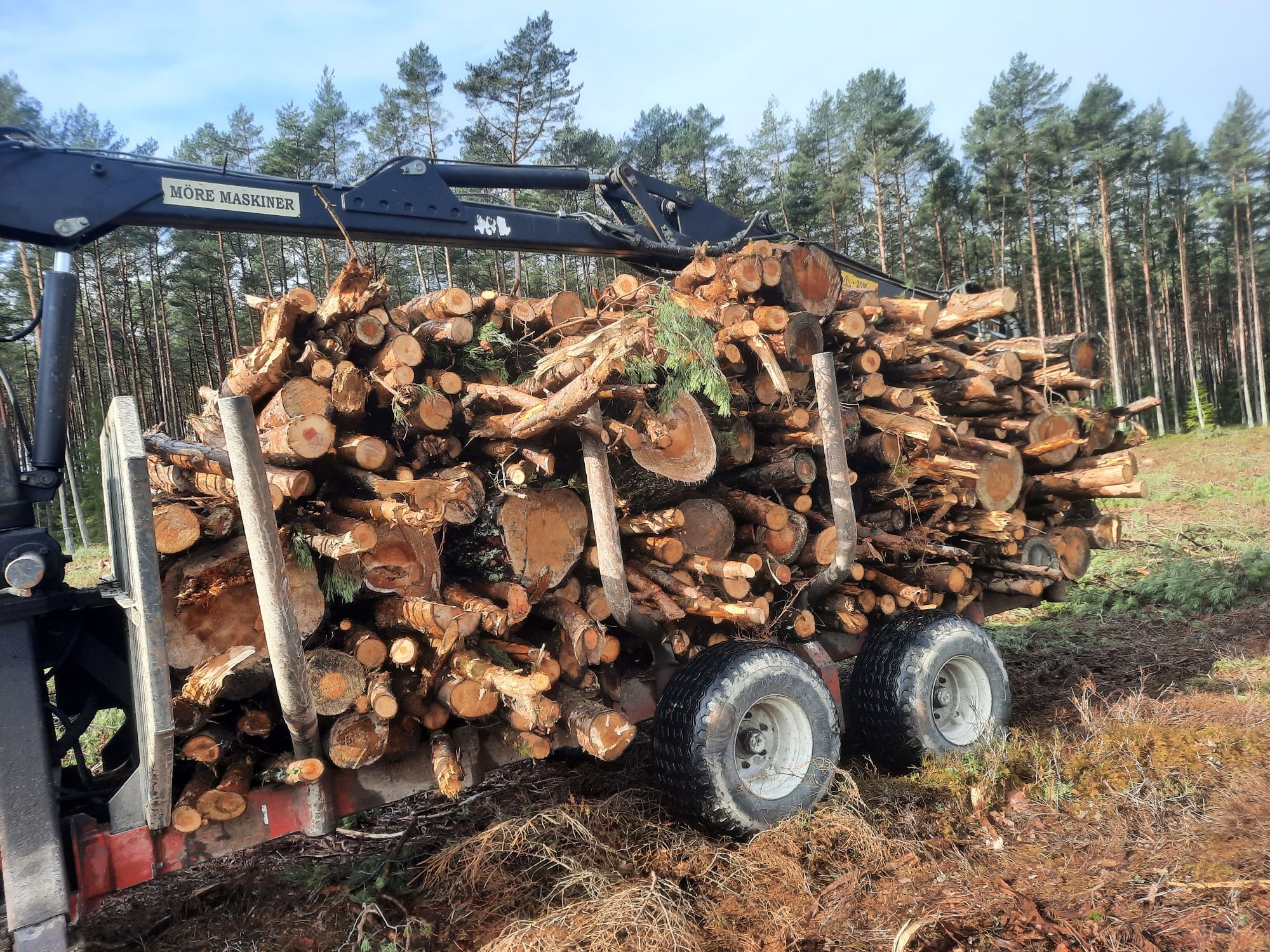 Sprzedam drzewo sosna rombana 170zł m