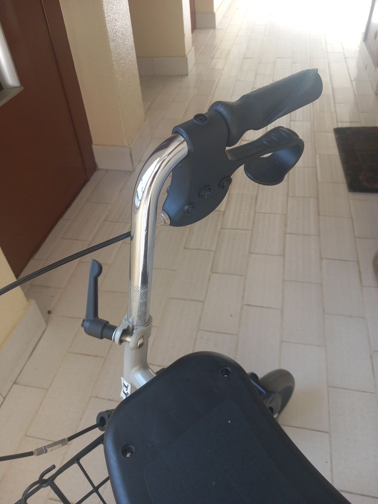 Andarilho Invacare Banjo