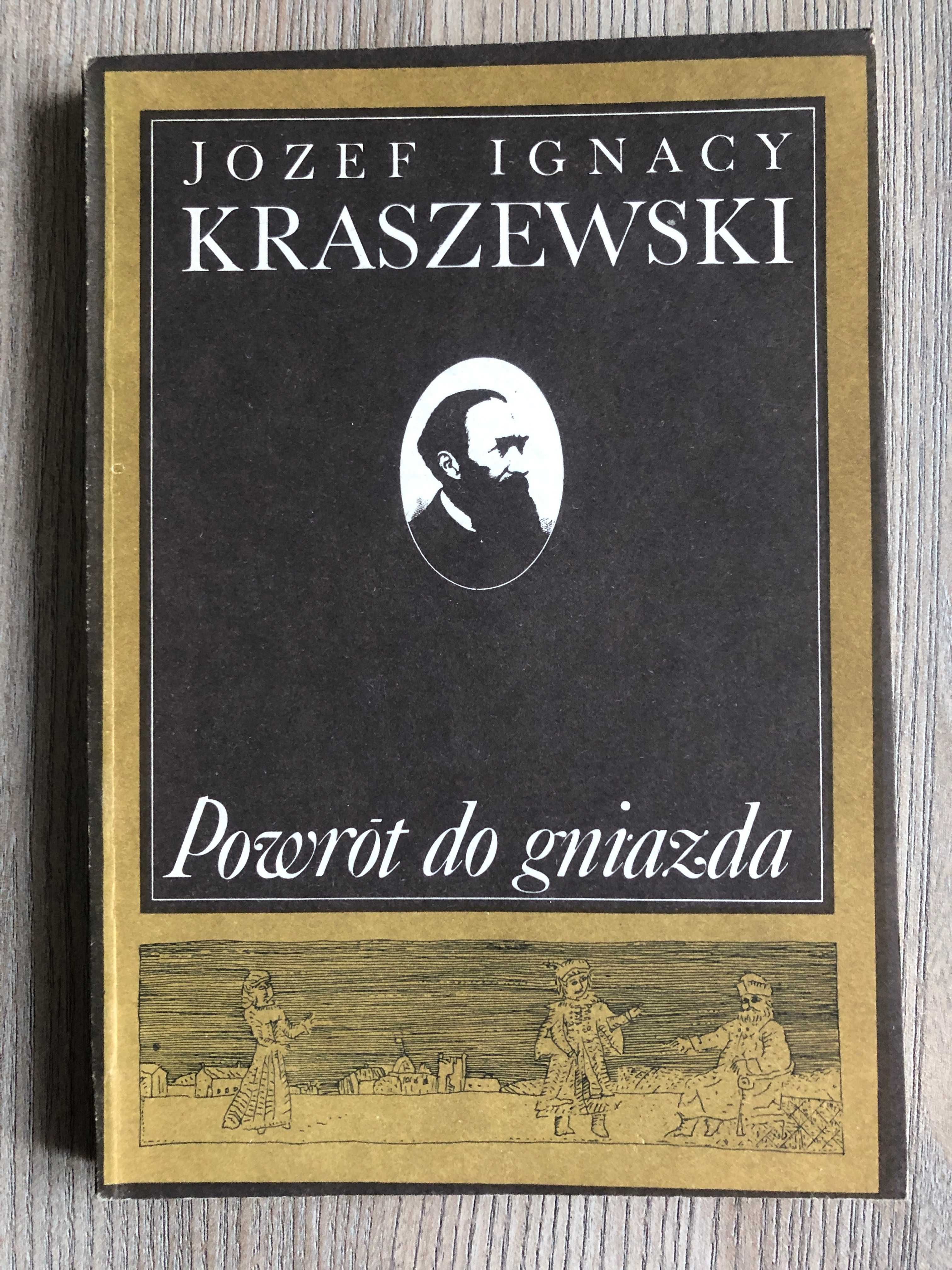 Powrót do gniazda Józef Ignacy Kraszewski