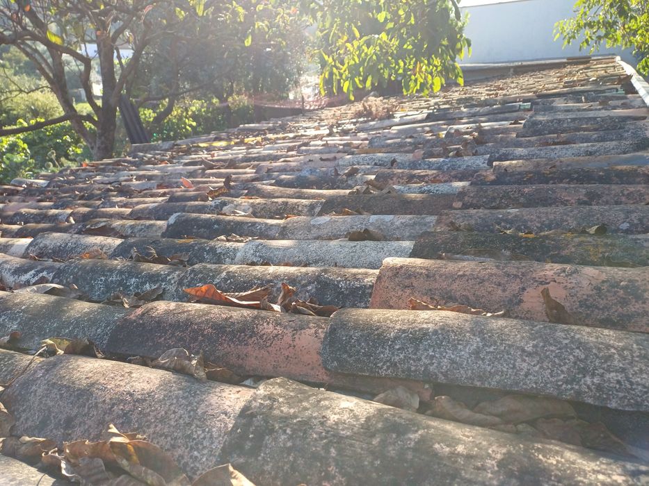 Telha serrana rustica