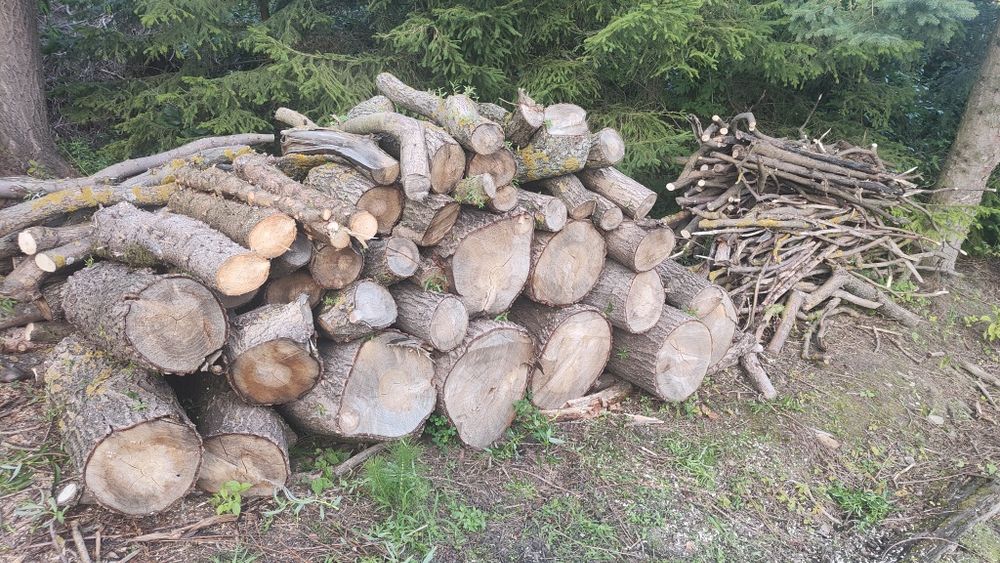 Drewno opałowe wierzba