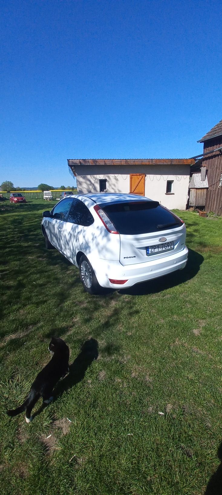 Sprzedam Ford Focus Mk2 1.8 benzyna coupe
