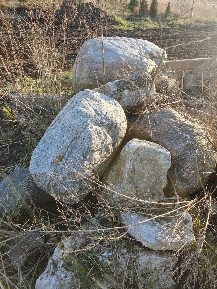 Kamienie na skalniak do ogrodu