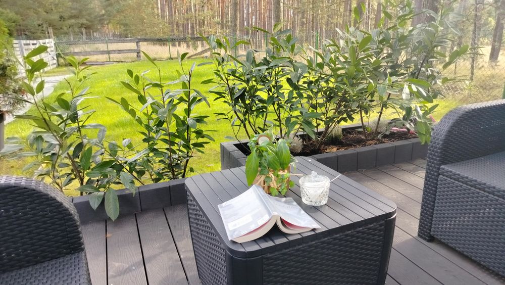 Domek w lesie balia ,jezioro ,ryby. Mężyk