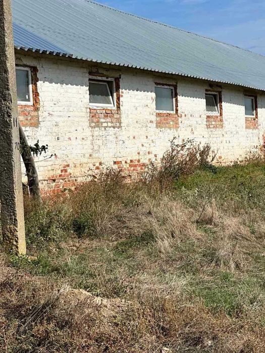 ОРЕНДА, ПРОДАЖ свиноферми