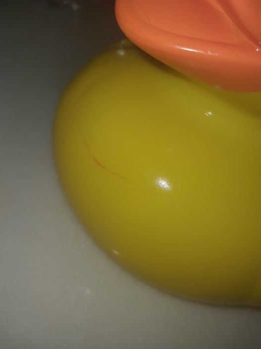 Pato grande brinquedo banho bebé