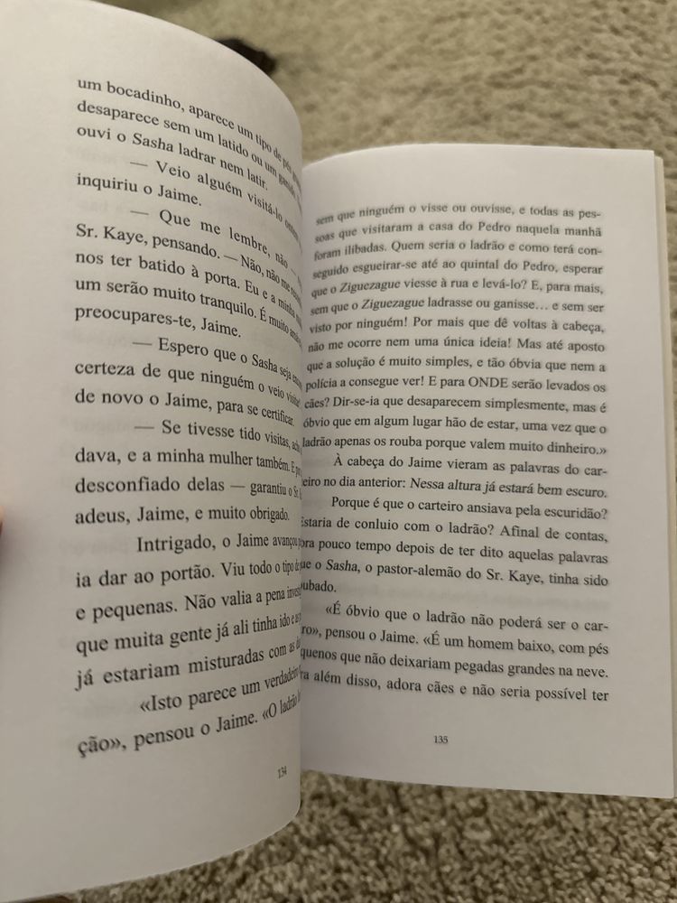 Livro Roubaram o Ziguezague aos Sete