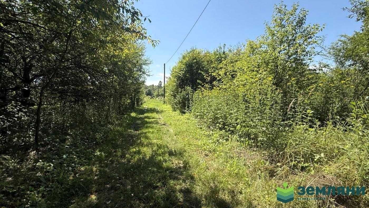 Продається дачна ділянка 6 сот у Микитинцях (7)