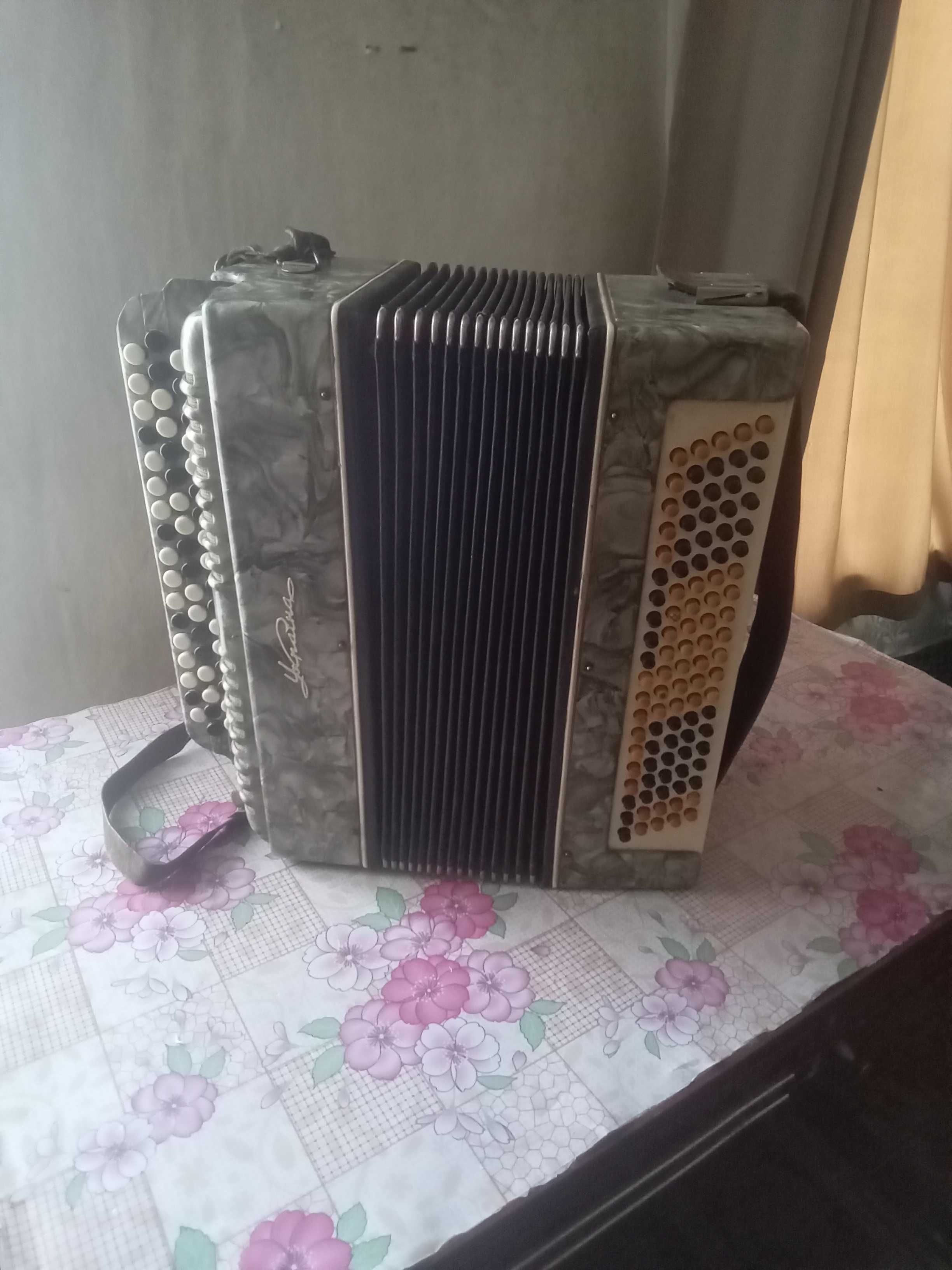 Полностью работающий баян