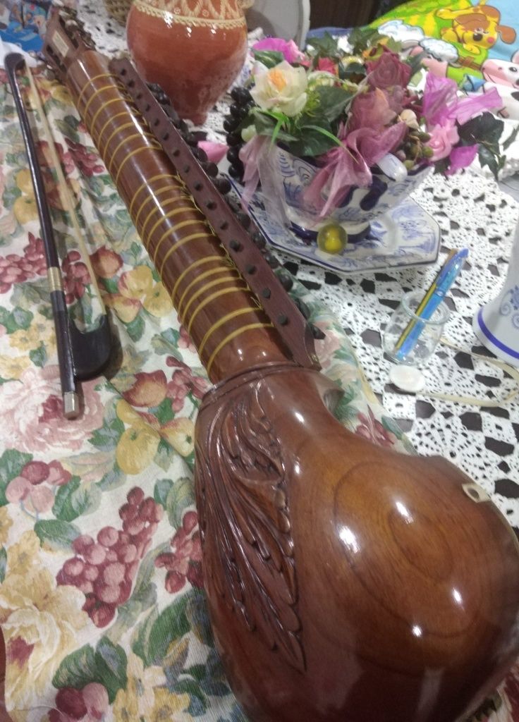 Instrumento musical indiano  Dilruba