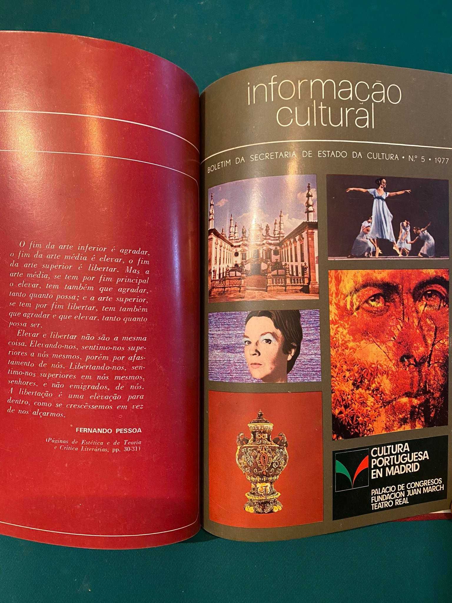 Revista Informação Cultural