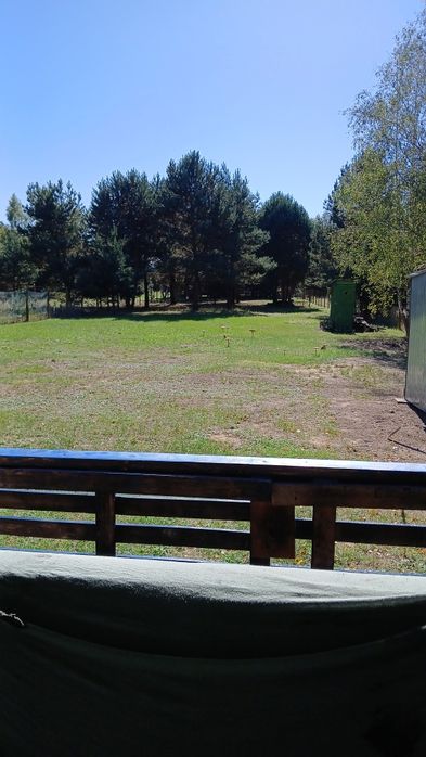 Sprzedam działkę leśną