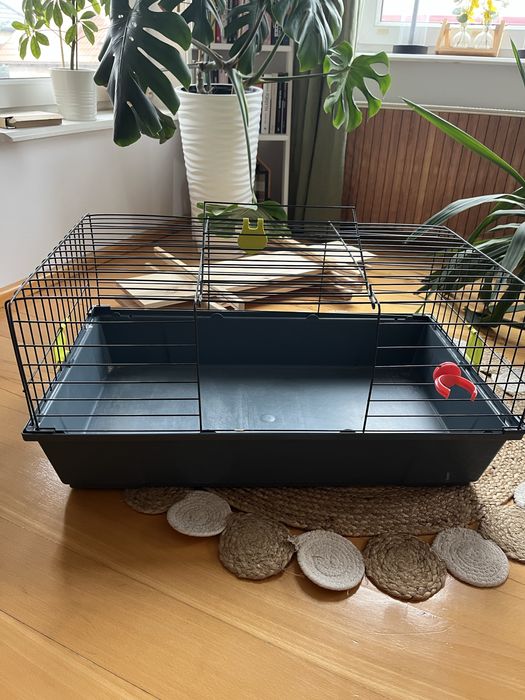 Klatka dla świnki morskiej/królika/szynszyli/koszatniczki