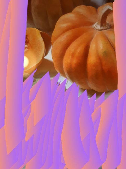 Seradela.łubin.żyto jare.owies.nostrzyk.gryka.pszenżyto.gorczyca...fac