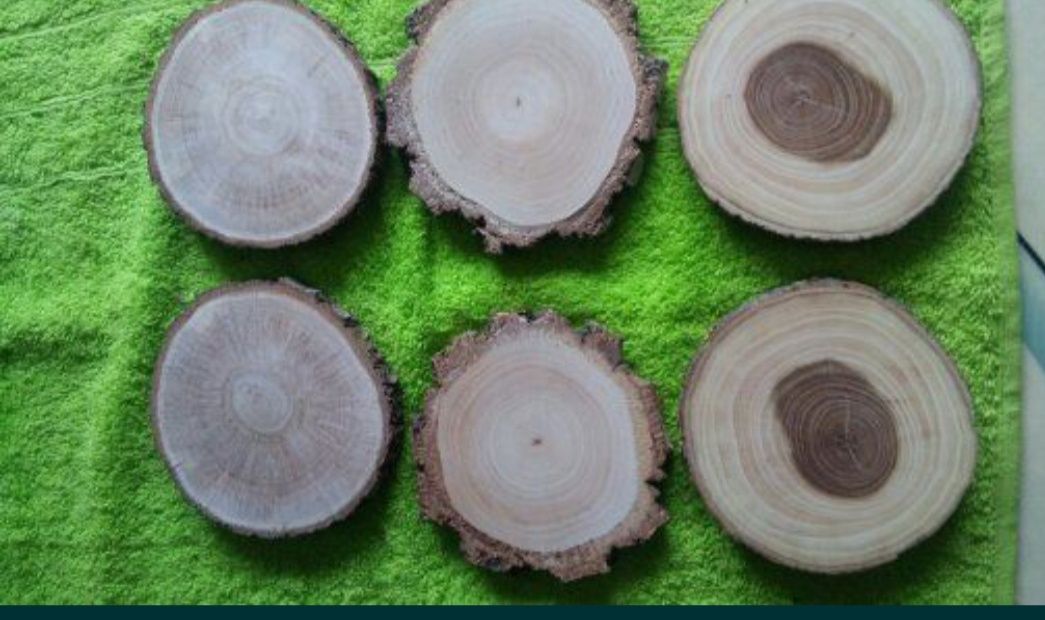 Plastry suche oszlifowane podkładki drewienka krążki drewniane