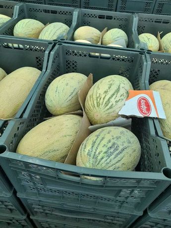 Melon mrożony obrany Torpedo soczysty i słodki 3zł/ kg