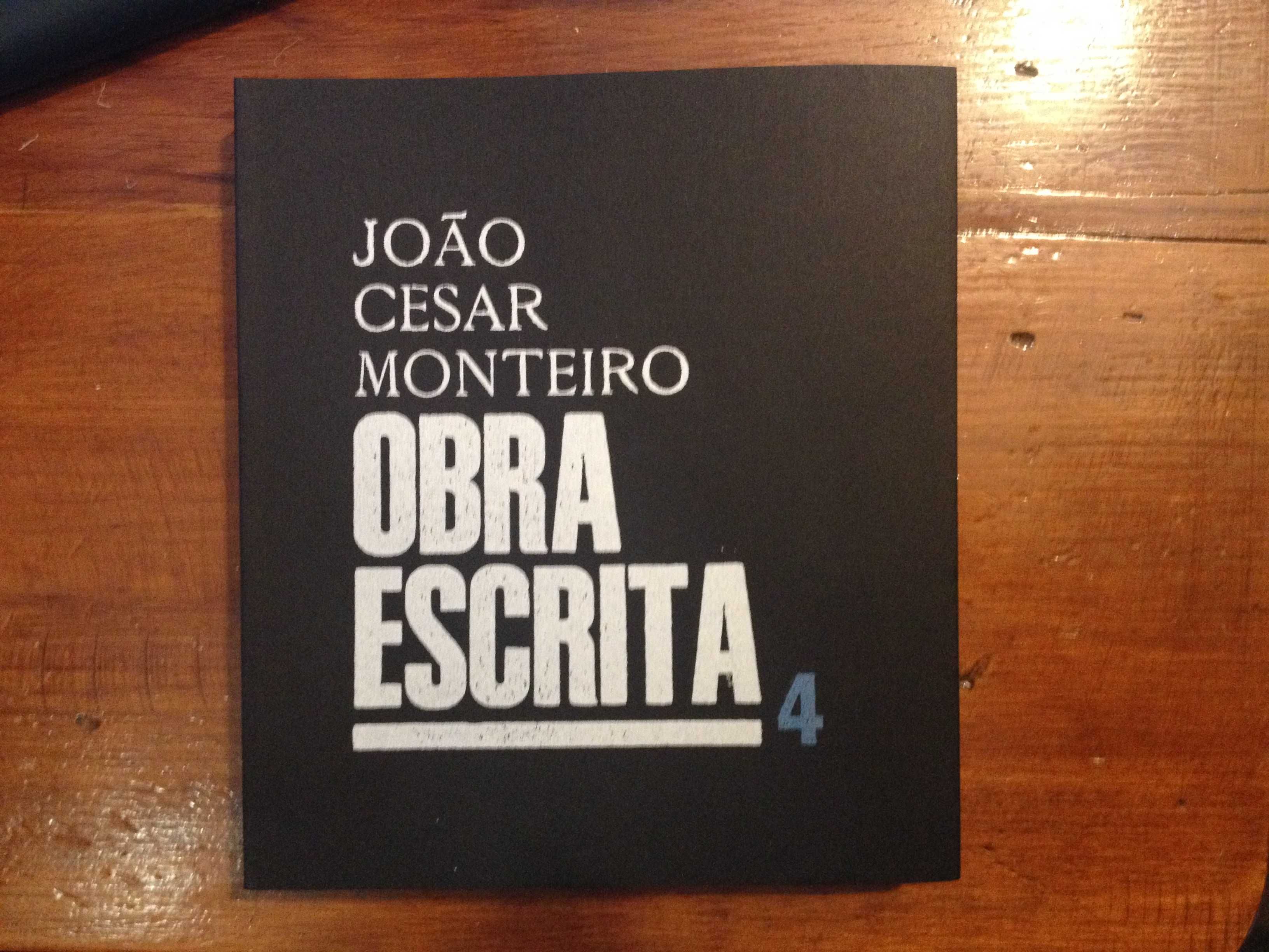 João César Monteiro - Obra escrita 4