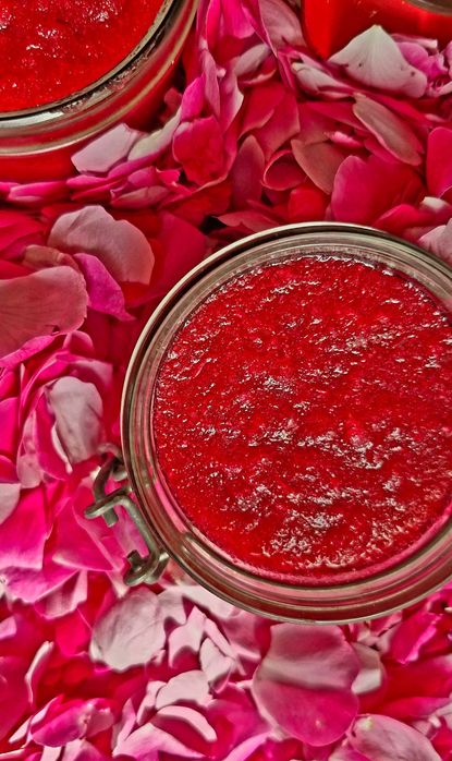 Róża stulistna ( centyfolia) 3 sadzonki