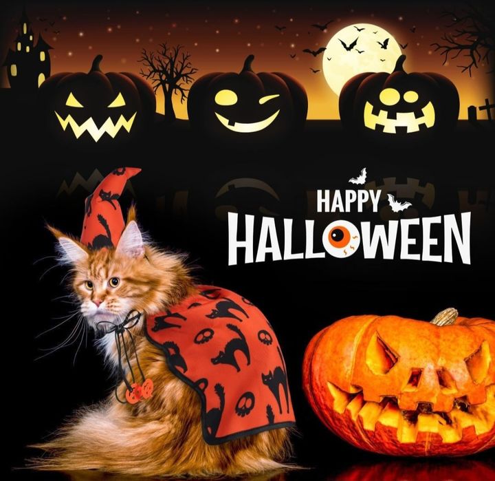 Kostiumy na Halloween dla psa - Peleryna kostiumowa z czapką