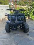 Квадроцикл spark sp125-3