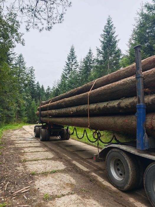 Drewno tartaczne jodła, sosna