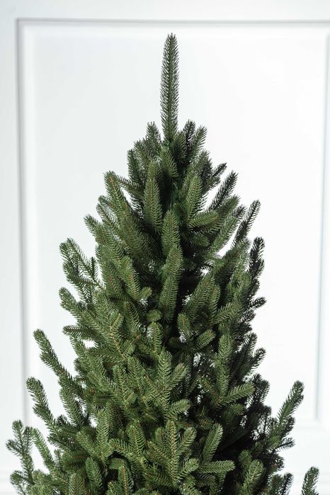 Ялинка лита Віденська