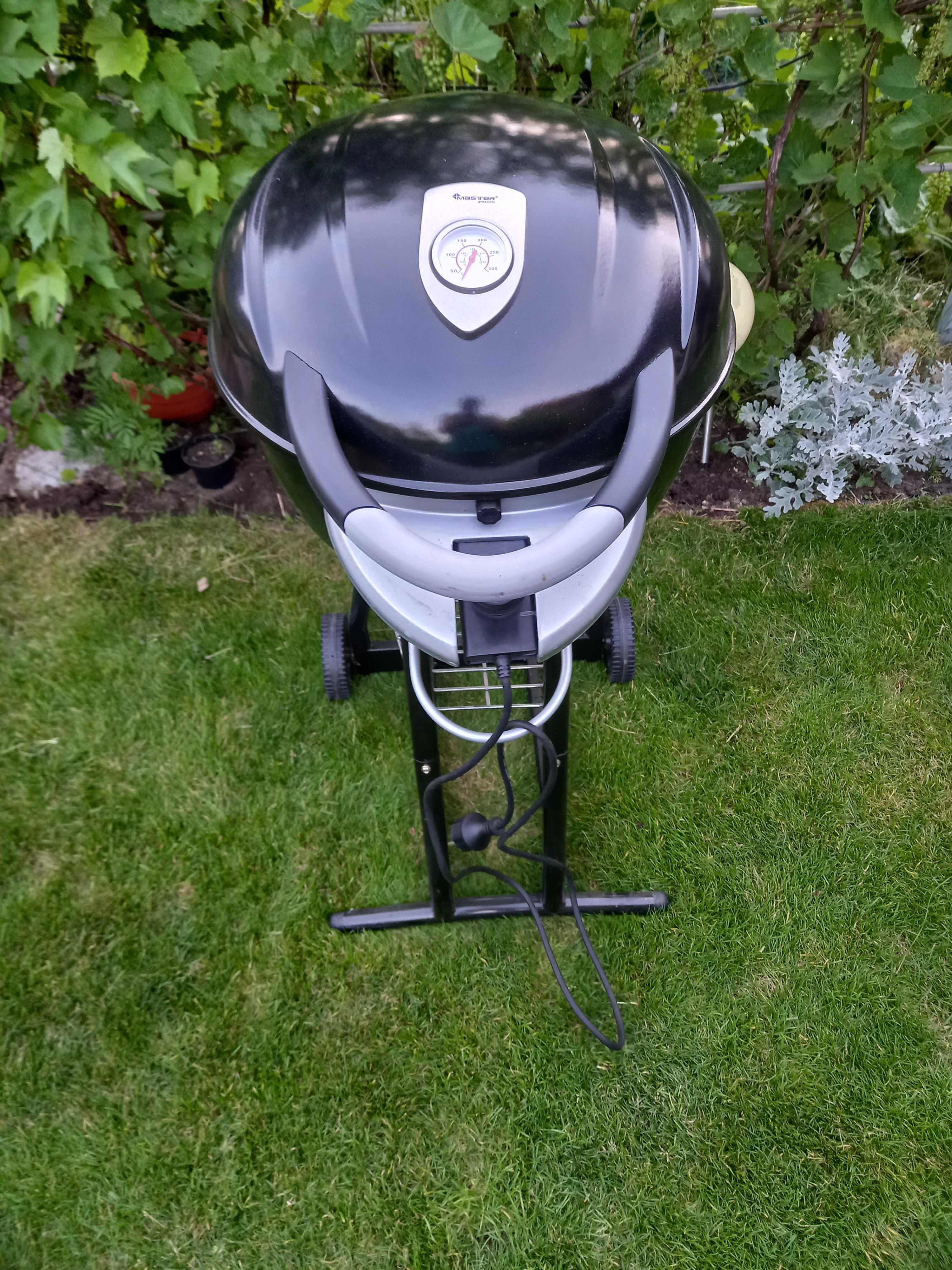 Grill Master Grill & Party.