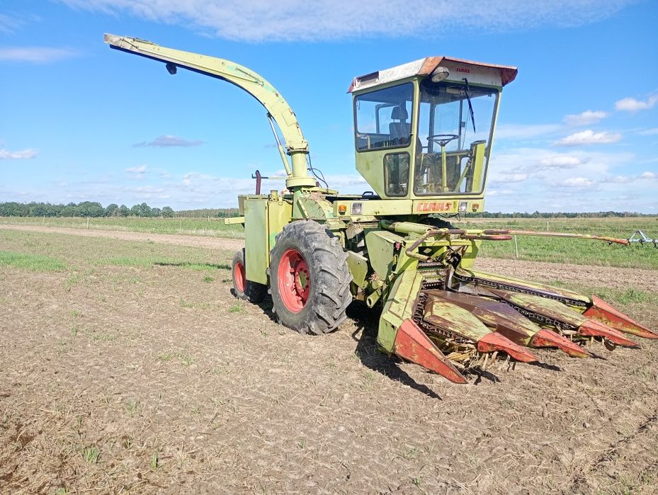 Sieczkarni do kukurydzy Claas jaguar 80sf