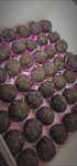 Brigadeiro ( docinhos de festa )
