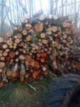 Sprzedam olcha brzoza w walkach 2.5m