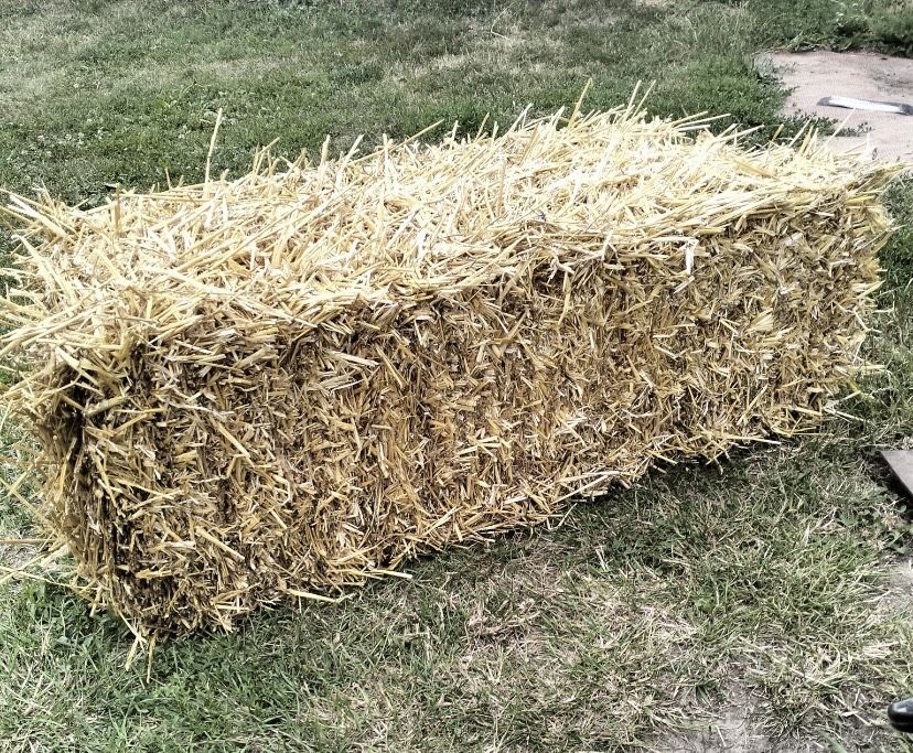 тюки зі соломи продам