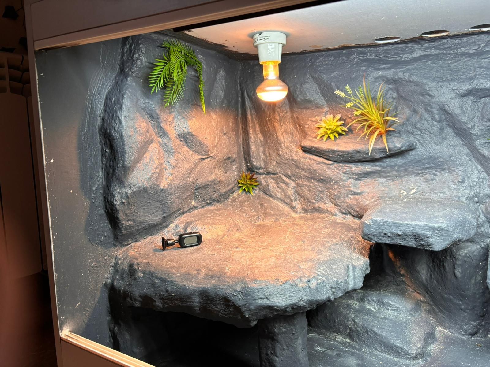 Terarium dla Agamy Brodatej