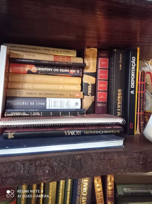 Vários livros enciclopédia