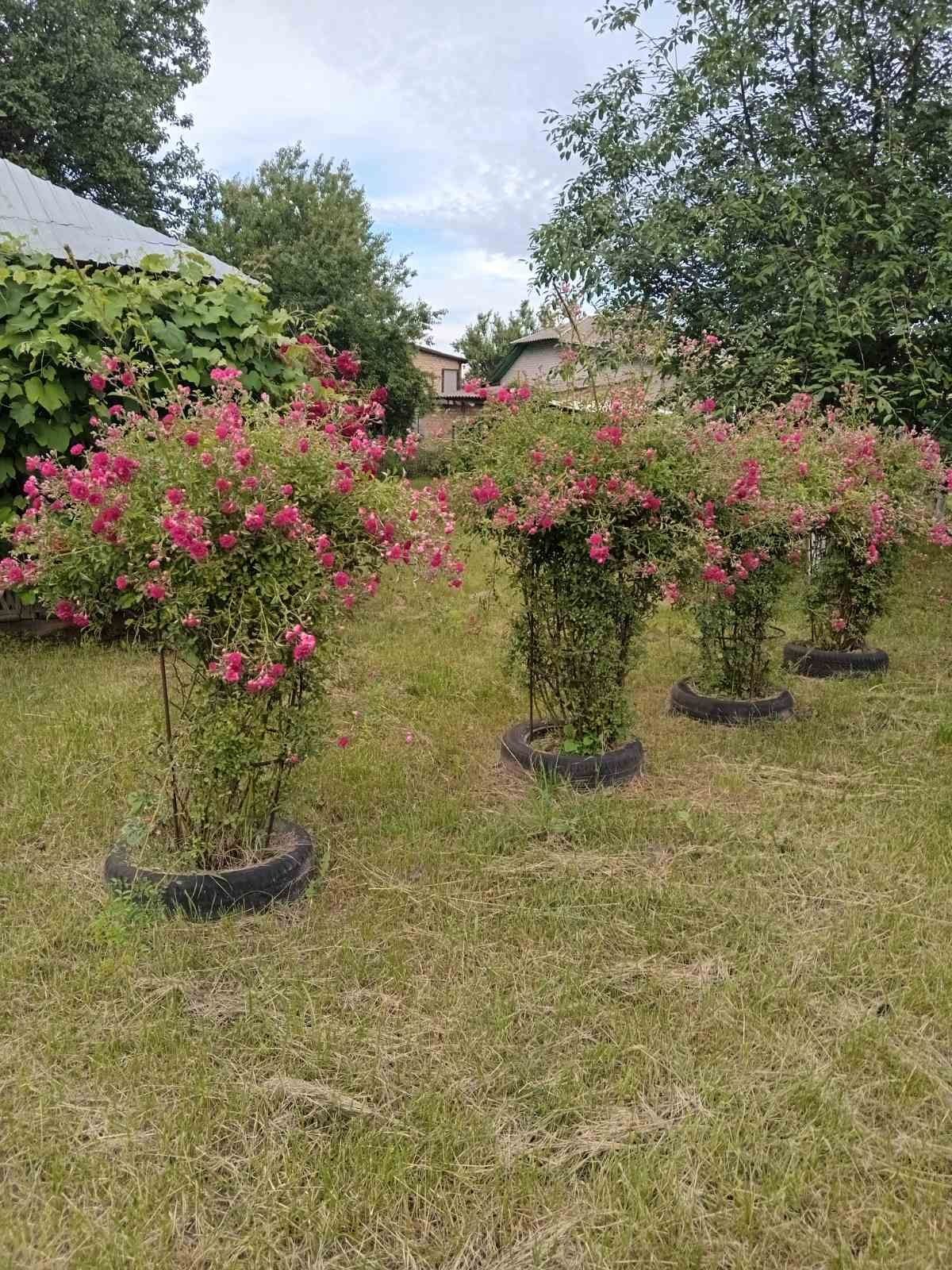 Працюємо з держ програмами.Продаж будинку в с. Бобрик, Броварського р-