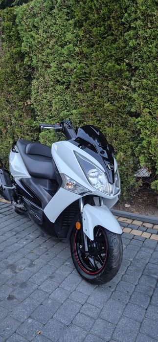 Sym GTS 300/125 cm3 swap xmax forza