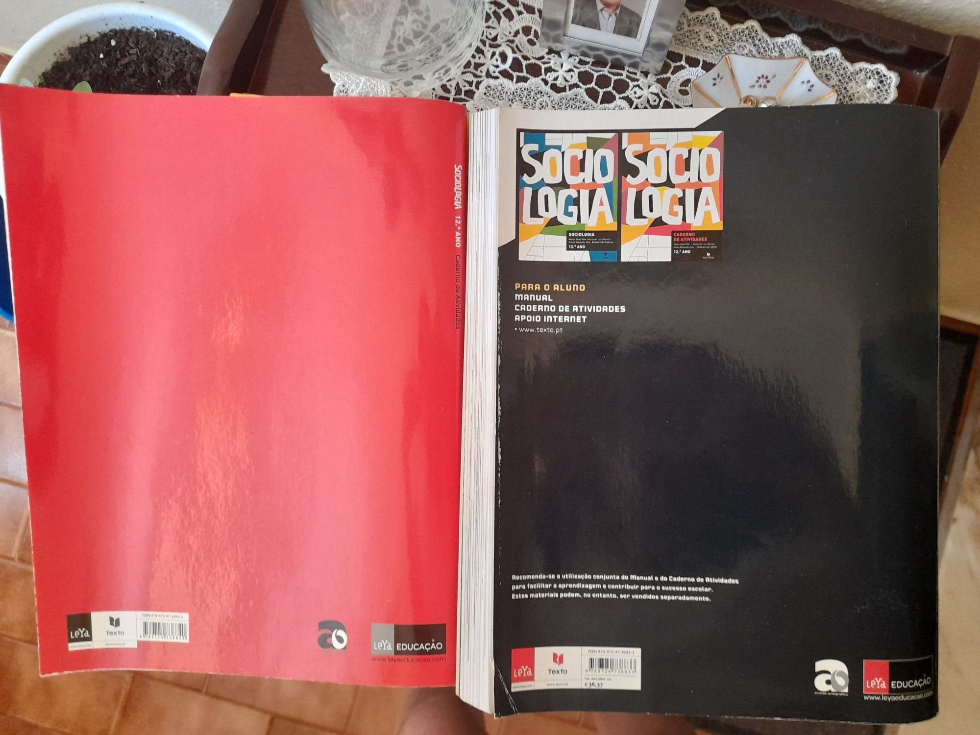 Manual / Livro escolar de Sociologia e caderno de actividades 12⁰ ano