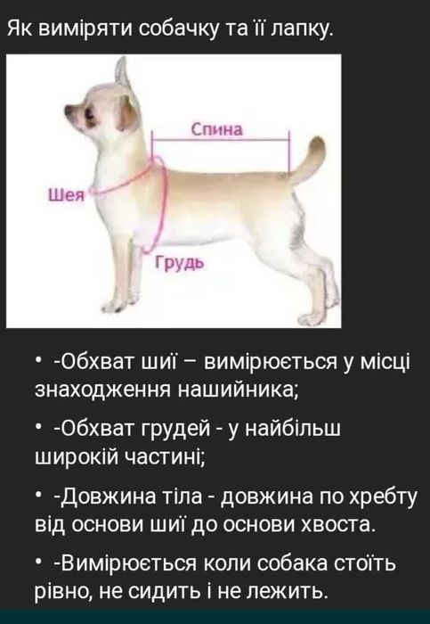 Одяг для собак та котів