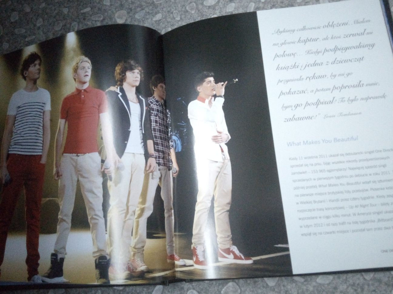 One Direction 1D książka "Nieoficjalna biografia"