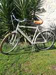Bicicleta classica
