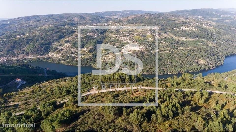 Quinta do Douro, em Oliveira do Douro