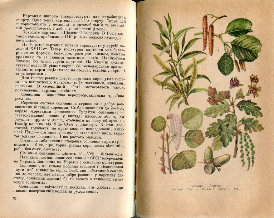 Пшеничний Н.І. Методика фенологічних спостережень у школі (1972)