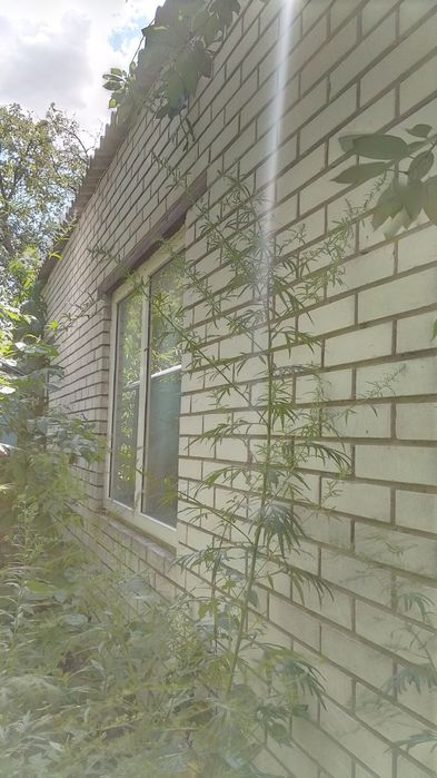 Продам будинок в с. Жердова (Київська обл.)