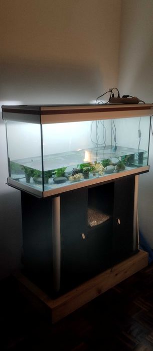 Aquário usado _ 200L