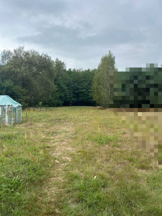 Sprzedam siedlisko 0,9101 ha z domem i zabudowaniami gospodarczymi